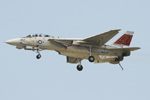 VF-101 Grim Reapers