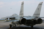 Gypsy 111, F-14B Tomcat