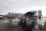 81FS A-10A Thunderbolt II